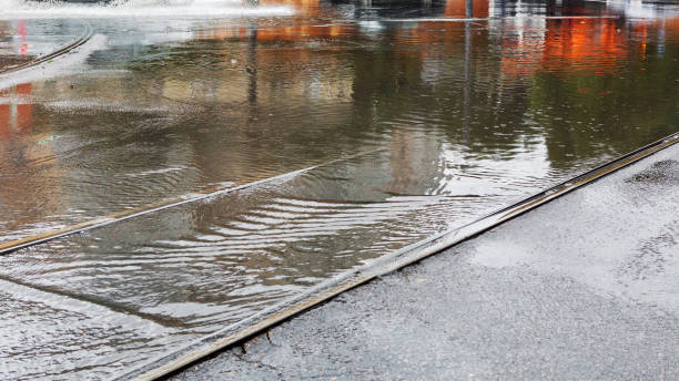 Sammamish River flooding