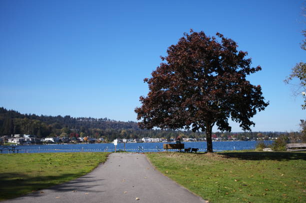 PuroClean of Sammamish Water Disasters