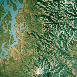 Understanding Why PuroClean of Sammamish Basement Water Damage Patterns Concentrate Near Local Lakes