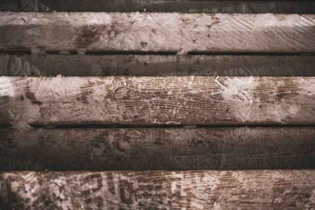 Mold Under Hardwood Floors in Renton