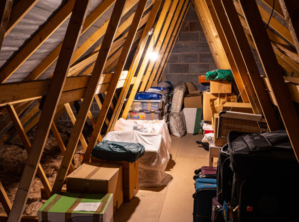 7 Startling Reasons Why Attic Mold Inspection in Renton, WA Is Essential After Water Damage