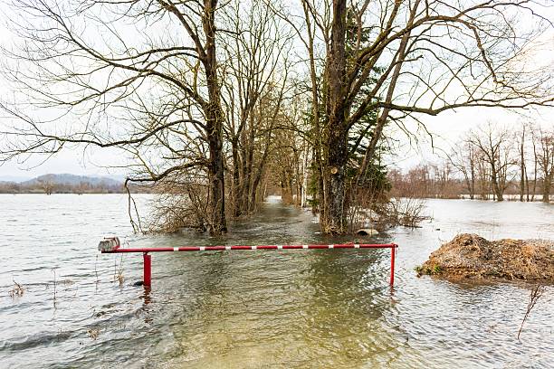 Sammamish flooding