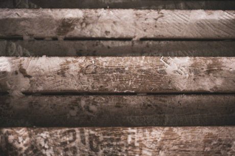 Mold Under Hardwood Floors in Renton