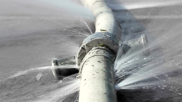 Need Burst Pipe Repair Fast? Call the Pros in Issaquah