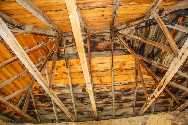 Mold in Your Attic