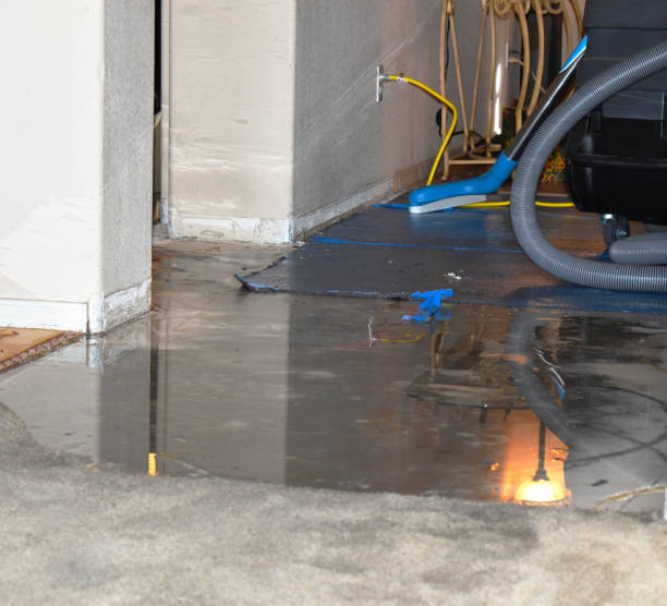 24 Hour Water Damage & Biohazard Cleanup