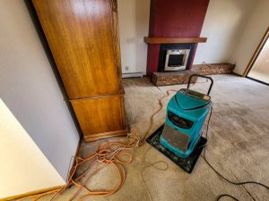 emergency water damage response in Issaquah
