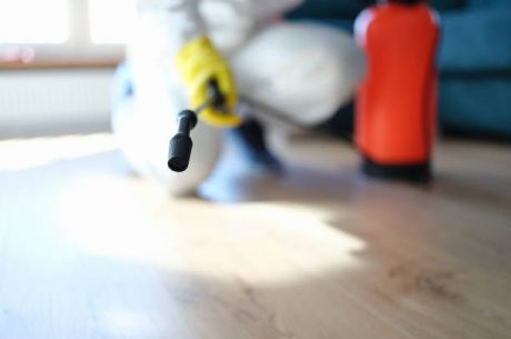 7 Expert Tips Every Savvy Sammamish Homeowner Should Know About Mold Prevention & Remediation