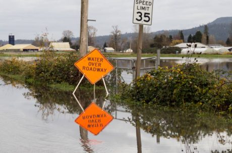 PuroClean of Sammamish Storm Data: Why Plateau's Shocking 500-Foot Elevation Means $50K More Roof Damage