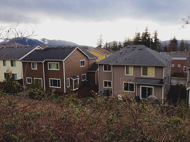 After Fire Cleanup in Issaquah WA