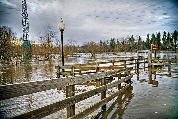 Your Home Flooded From Sammamish River: PuroClean’s Hour-by-Hour Recovery Guide for the Next 72 Hours