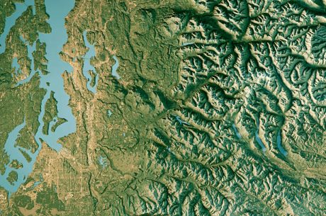 Why PuroClean of Sammamish Sees 3X More Basement Water Damage Calls From Pine Lake and Beaver Lake Homes: 8 Hidden Lake Proximity Factors
