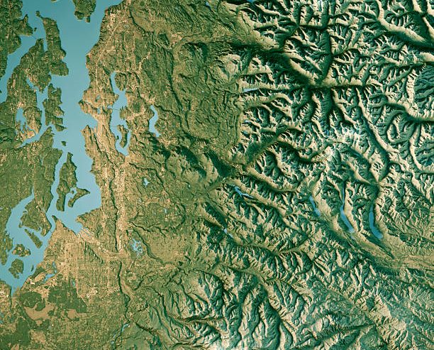 Understanding Why PuroClean of Sammamish Basement Water Damage Patterns Concentrate Near Local Lakes