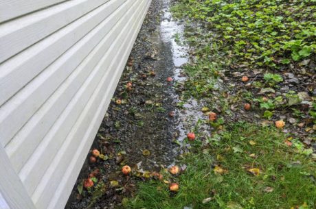 PuroClean of Sammamish foundation water damage