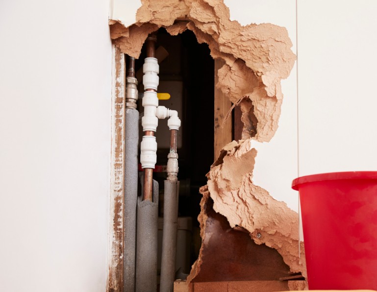 Steps to Take if You Suspect Water Damage