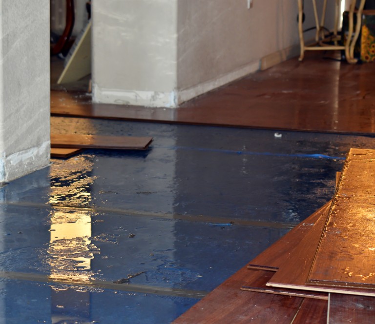 How Does the Water Mitigation Process Work