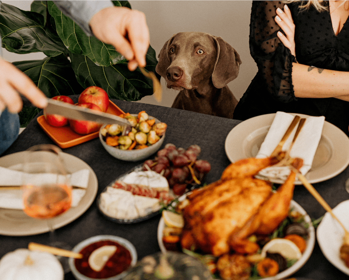 While You Gobble, We Squabble… With Mold, Water, and Fire