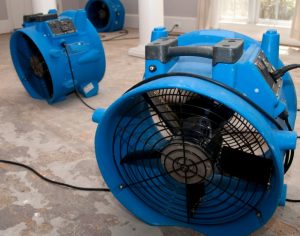 Professional Water Damage Restoration Services