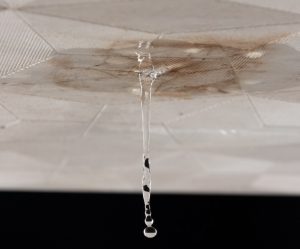 Consequences of Delaying Fire and Water Damage Restoration
