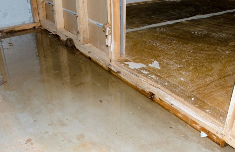 What to Do Immediately After Discovering Water Damage