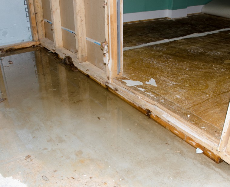 What to Do Immediately After Discovering Water Damage