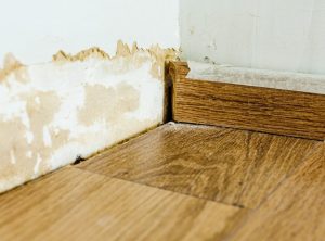 Early Signs Jacksonville Homeowners Shouldn't Ignore