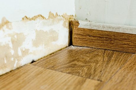 Early Signs Jacksonville Homeowners Shouldn't Ignore