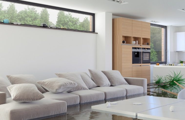 Common Questions About Water Damage Restoration in Jacksonville