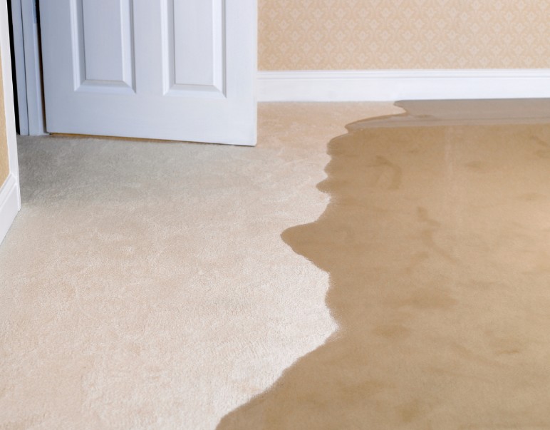 How PuroClean of Jacksonville Southbank Solved the Problem