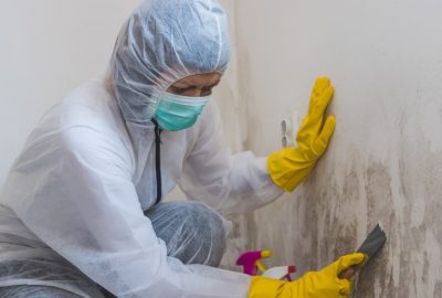 Can I Remove Mold Myself in Jacksonville, FL