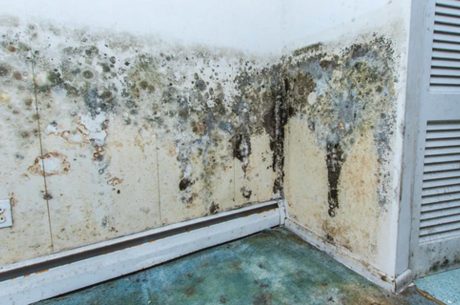 Mold