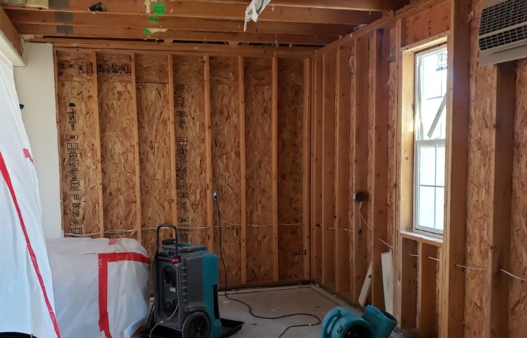 What Happens During the Water Damage Restoration Process in Jacksonville, FL