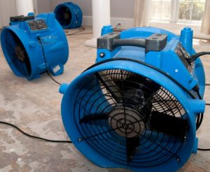 What Is The Meaning of Water Mitigation in Jacksonville, FL