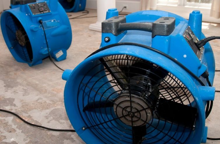 What Is The Meaning of Water Mitigation in Jacksonville, FL