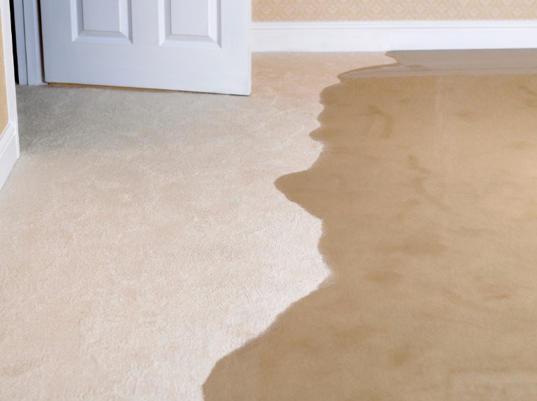 How Jacksonville Homeowners Should Respond