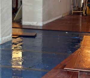 How Does the Water Mitigation Process Work