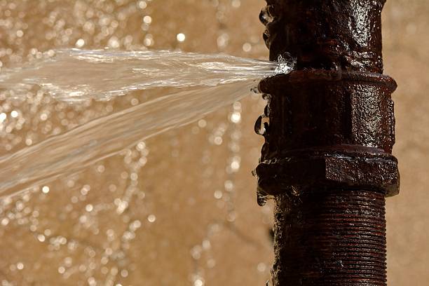 Water Leak Remediation
