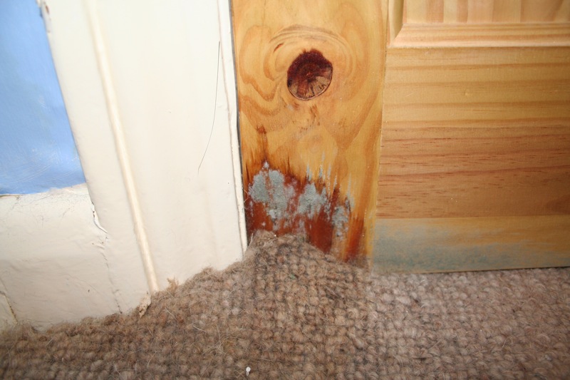 Fast Response to Water Damage: Emergency Water Removal in Jericho