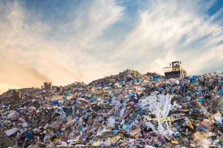 waste disposal company in Nassau
