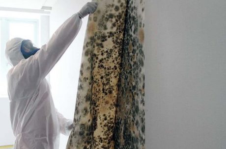 Mold Cleaning Services in Long Island