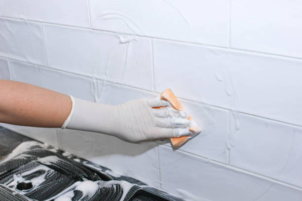 Upholstery & Carpet Cleaning  in Suffolk County 