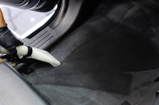 Upholstery & Carpet Cleaning in Queens | 100% Professional Deep Cleaning Services