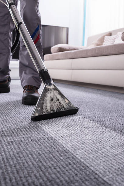Commercial Carpet & Upholstery Cleaning in Bronx County