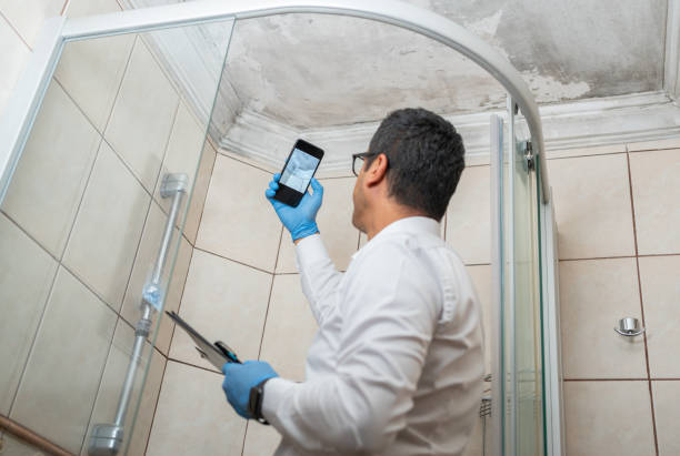 Mold Inspection in Nassau County | 100% Professional & Accurate Mold Assessment