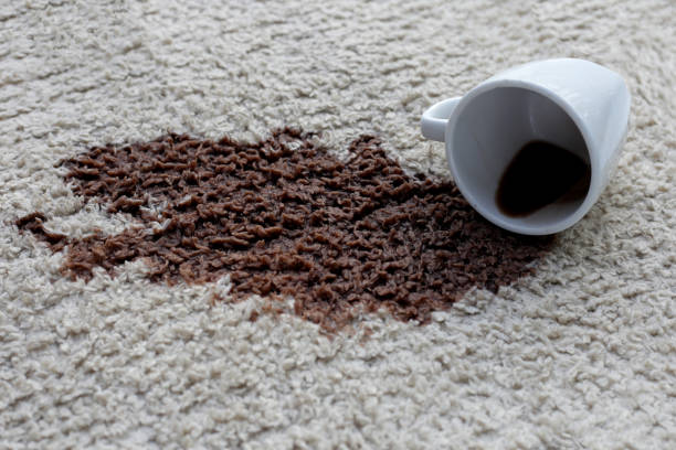 Odor Removal Services in Suffolk County