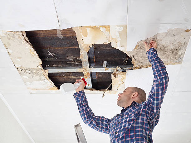 Mold Inspection in Suffolk County