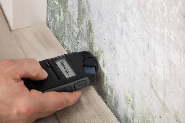 The Mold Inspection in Nassau County: