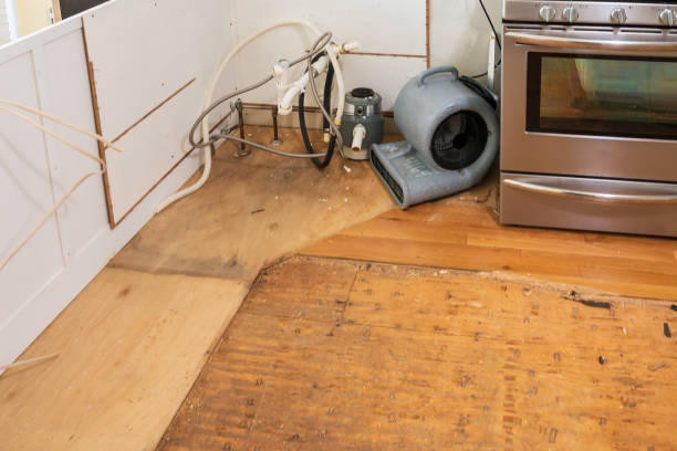 Flooring Repair and Maintenance in Woodmere