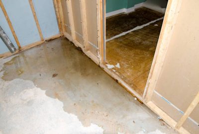 Water Damage Restoration in Kings County Homes