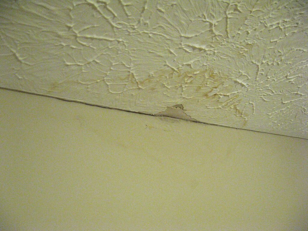 Water Damage Restoration cost